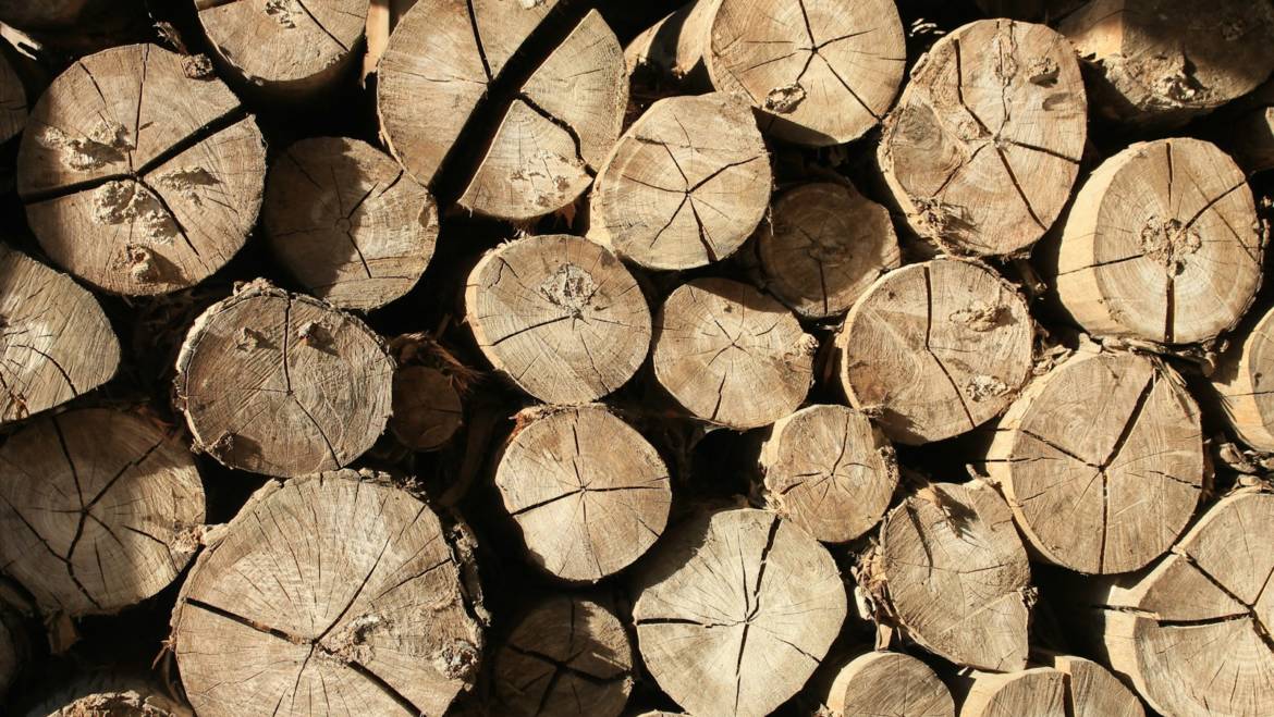 Vente de bois