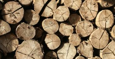 Vente de bois