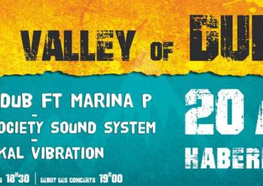 Valley of Dub